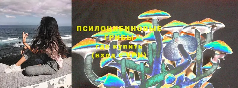 Галлюциногенные грибы Magic Shrooms  цены наркотик  Ангарск 